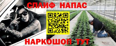 шишки Кунгур