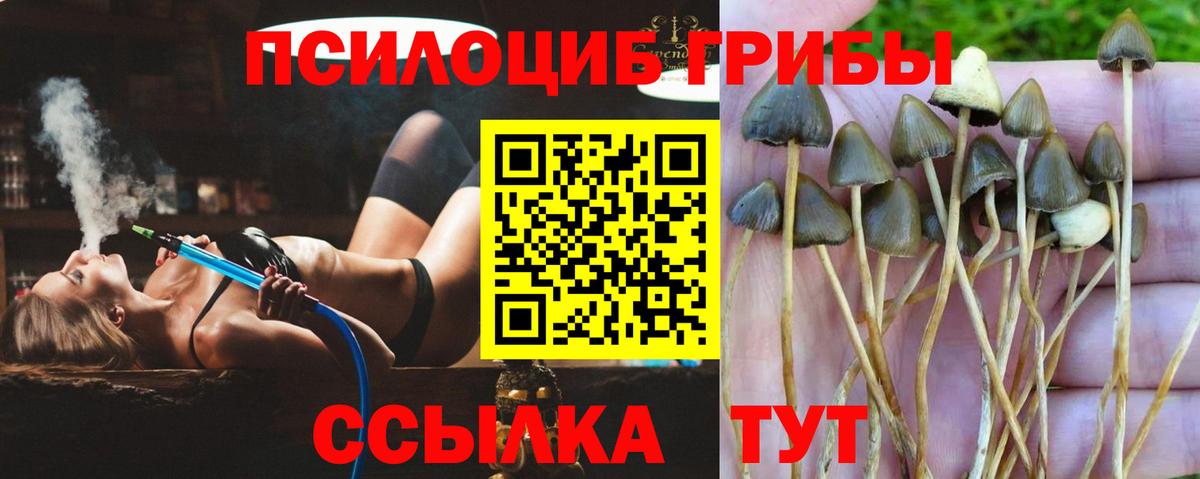 Галлюциногенные грибы мицелий Клин