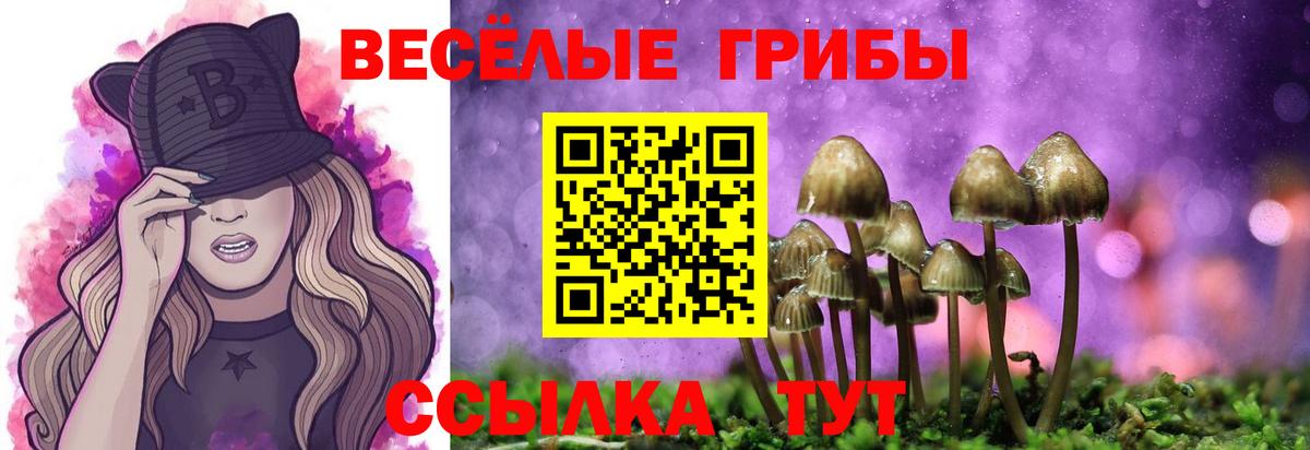 Галлюциногенные грибы Psilocybe  Вход с VPN  Клин  Галлюциногенные грибы ЛСД 